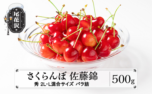先行予約 さくらんぼ 佐藤錦 500g 2L・L混合サイズ 秀品 山形県産 バラ詰 令和8年産 2026年産 sb-snbsx500