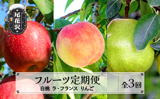 【先行予約】 フルーツ定期便 全3回 白桃 ラ・フランス りんご 秀品 2026年9月上旬頃~発送開始 2026年産 令和8年産 佐竹物産 ※沖縄・離島への配送不可 sb-fthlr3-b