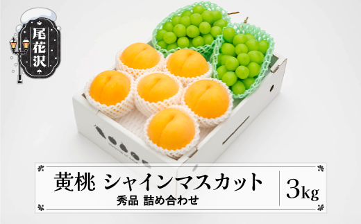 先行予約 有袋黄桃  シャインマスカット 秀品 詰め合わせ 計3kg 令和8年産 2026年産 山形県産 送料無料 もも ぶどう 果物 フルーツ  セット※沖縄・離島への配送不可 ns-fsosx3-b