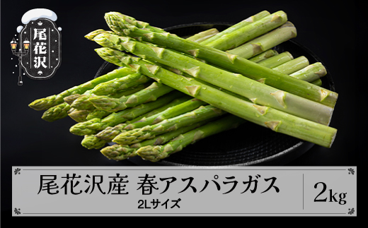 尾花沢産春アスパラガス 2Lサイズ 2kg(極太) 令和8年産 2026年産  アスパラ アスパラガス グリーンアスパラガスnd-vga2x2