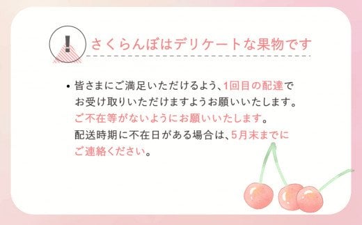 さくらんぼ 佐藤錦 秀Lサイズ プレゼント ギフト バラ詰め 1kg(500g×2