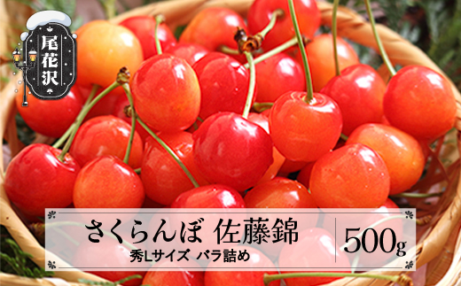 先行予約 さくらんぼ 佐藤錦 秀Lサイズ 500g  バラ詰め 2025年産 令和7年産 プレゼント ギフト 山形県産 ns-snslb500