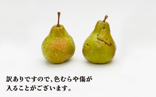 先行予約 訳あり ラ・フランス 約5kg 令和8年産 11月上旬~12月下旬頃発送  ns-laxxw5-b