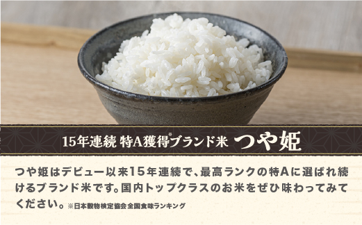 令和7年産 玄米 つや姫 10kg 10kg×1袋 2025年産 米 お米 国産 山形県 尾花沢市 kg-tsgxa10