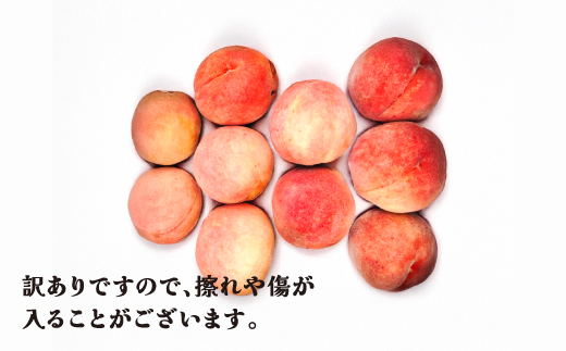 先行予約 訳あり 桃 白桃 約5kg (10～25個程度) 無印品 8月上旬頃~10月中旬頃発送 山形県産 フルーツ 果物 くだもの 令和8年産 2026年産 佐竹物産 sb-mohtw5-b