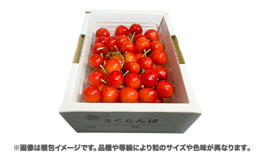 å
è¡äºçŽ ãããã㌠ããŸããçŽ
ç 500g Lãµã€ãº ç§å 山圢çç£ ä»€å8å¹Žç£ 2026å¹Žç£ sb-ybslx500