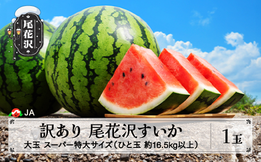 尾花沢すいか 大玉 スーパー 特大 訳あり 約16.5kg以上×1玉 7月下旬〜8月10日頃発送 令和8年産 2026年産 ja-su20w1