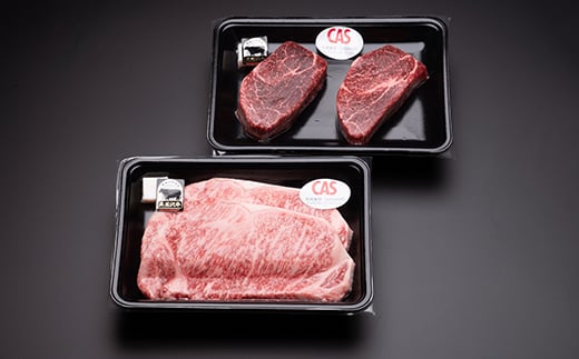 尾花沢牛 ステーキ 食べ比べセット ヒレ 150g×2枚 サーロイン 200g×2枚 黒毛和牛 国産 牛肉 CAS 冷凍 スキンパック kb-ogtkm700