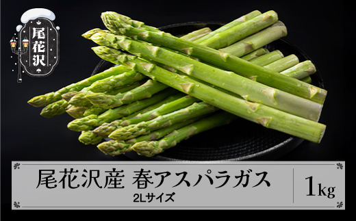 尾花沢産春アスパラガス 2Lサイズ 1kg(極太) 令和8年産 2026年産 アスパラ アスパラガス グリーンアスパラガス nd-vga2x1