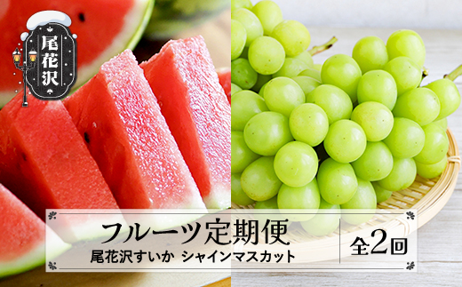 【先行予約】フルーツ定期便  全2回  スイカ シャインマスカット 秀品 2026年7月中旬~発送開始 2026年産 令和8年産 佐竹物産 ※沖縄・離島への配送不可 sb-fts2x-b-bu