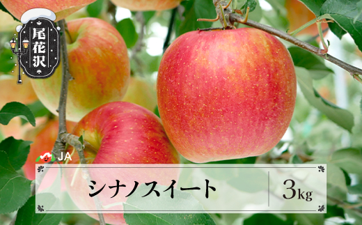 先行予約 シナノスイート 約3kg ◯秀 10月上旬~11月上旬頃発送 令和8年産 2026年産 りんご リンゴ 果物 フルーツ 山形県産 送料無料 ja-rissx3-b