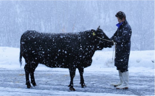 尾花沢牛肉まつり焼肉セット　ロース・カタ・モモ・カルビ　800ｇ　雪降り和牛尾花沢　山形牛　(296A)