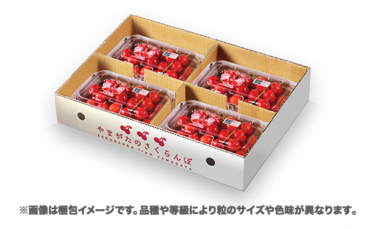 先行予約 さくらんぼ 佐藤錦 720g(180g×4パック) Mサイズ 〇秀 山形県産 令和8年産 2026年産 sb-snpmx800