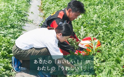 尾花沢プレミアすいか 羅皇ザ・スイート 大玉 2~3Lサイズ(約7~8kg) 2玉 2026年産 令和8年産 nf-su23r2
