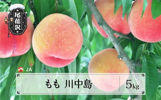 先行予約 もも 川中島 約5kg 秀 20玉以上 2026年産 令和8年産 8月中旬～9月上旬頃発送 桃 白桃 モモ 果物 フルーツ 山形県産 送料無料 ※沖縄・離島への配送不可 ja-moknx5-b