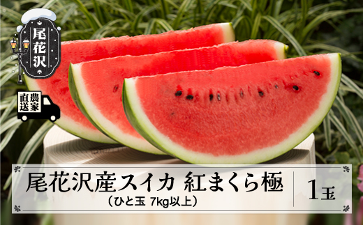 先行予約 尾花沢産スイカ 紅まくら 極 きわみ 2Lサイズ(7kg)以上 1玉 7月下旬~順次発送 令和8年産 2026年産 尾花沢産 スイカ すいか 西瓜 果物 くだもの フルーツ 観光物産 kb-submk1