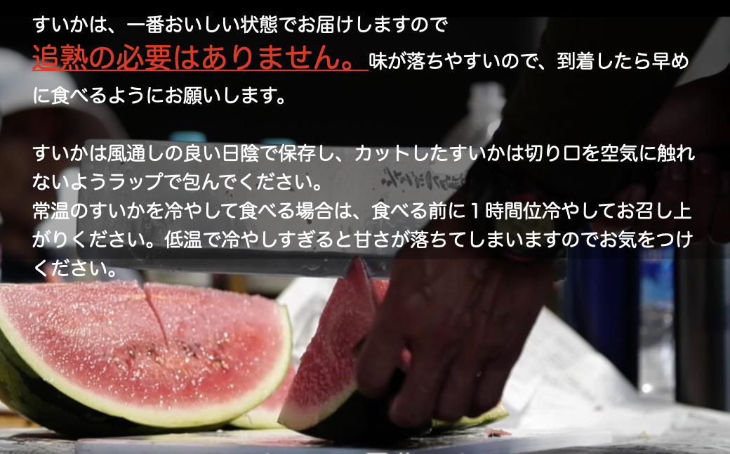 尾花沢産スイカ Lサイズ(約6～7㎏)×2玉 7月下旬～8月中旬頃発送 令和4年産 観光物産 K12|JALふるさと納税|JALのマイルがたまる ふるさと納税サイト