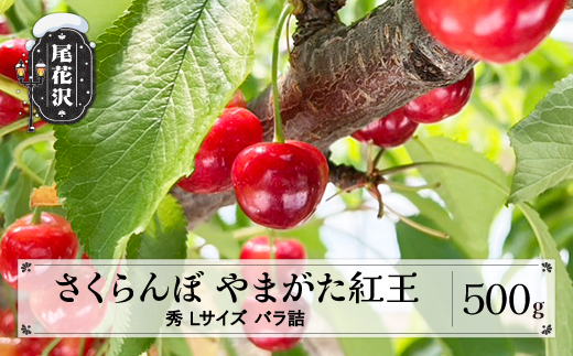 å
è¡äºçŽ ãããã㌠ããŸããçŽ
ç 500g Lãµã€ãº ç§å 山圢çç£ ä»€å8å¹Žç£ 2026å¹Žç£ sb-ybslx500