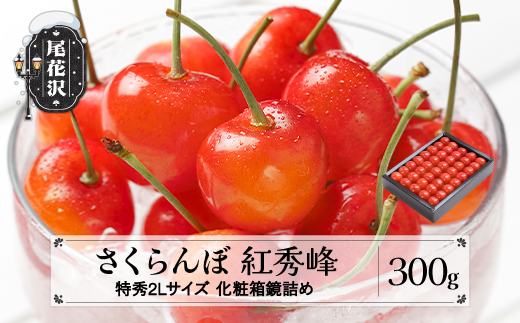 先行予約 さくらんぼ 紅秀峰 特秀2Lサイズ 300g 化粧箱鏡詰め 2026年産 令和8年産 山形県産 ns-bst2x300