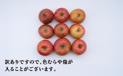 先行予約 訳あり りんご サンふじ 約5kg 令和8年産 12月上旬~1月中旬頃発送 ns-risfw5-b
