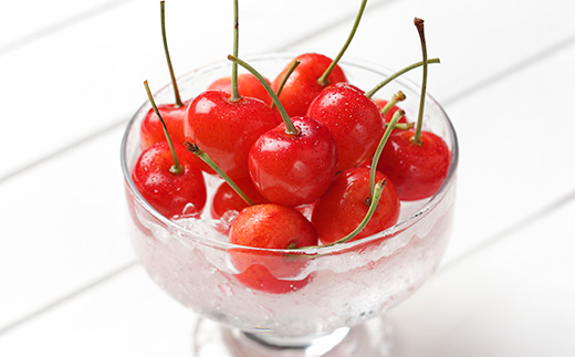 先行予約 全6回 フルーツ定期便 さくらんぼ 佐藤錦 尾花沢スイカ 桃 シャインマスカット ラ・フランス りんご 2026年6月~発送開始 ns-ft6xx-s-b