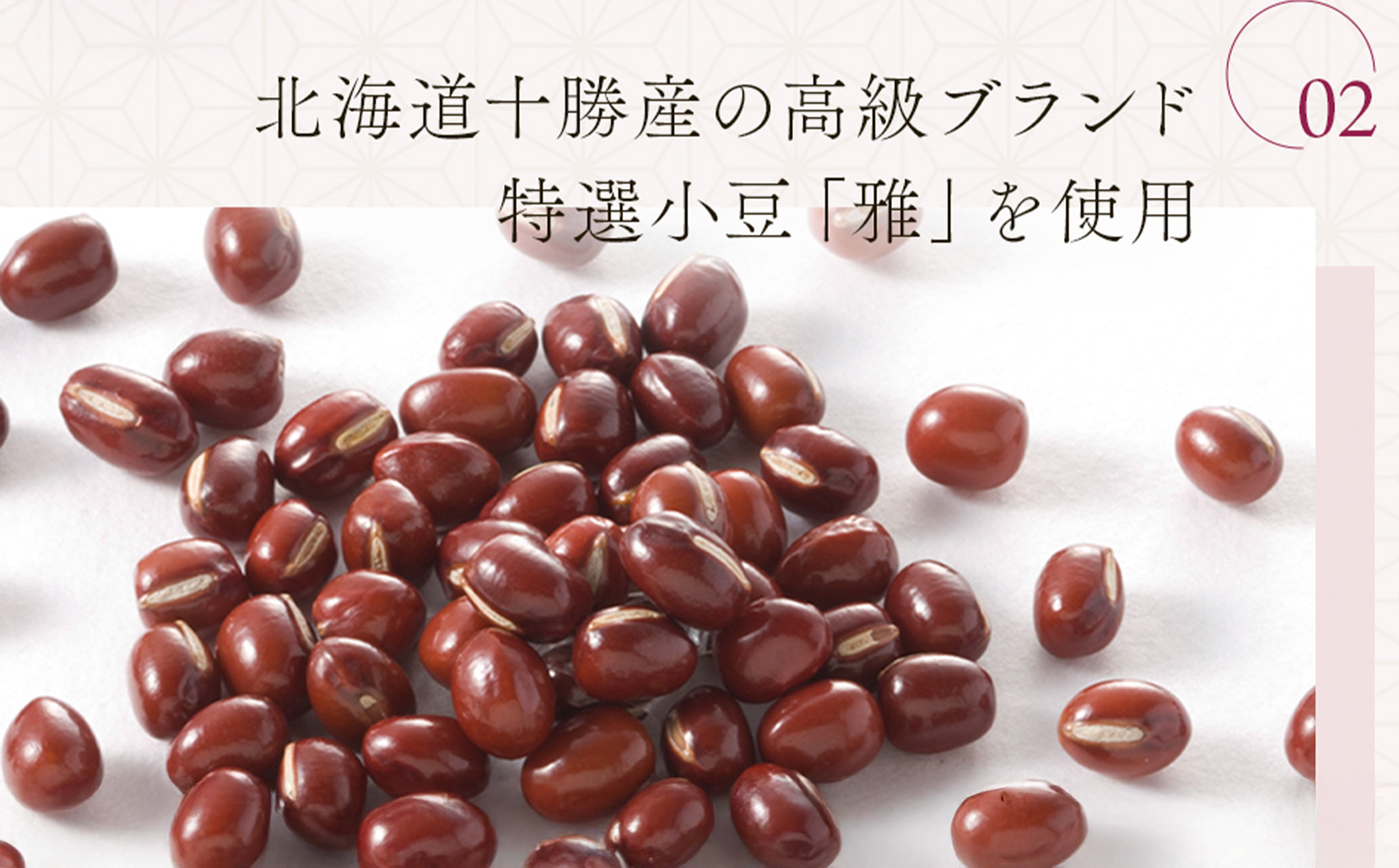 シュークリーム あんこシュー 6個 スイーツ 洋菓子 お菓子 デザート おやつ うろこや 尾花沢 送料無料 us-swasx6