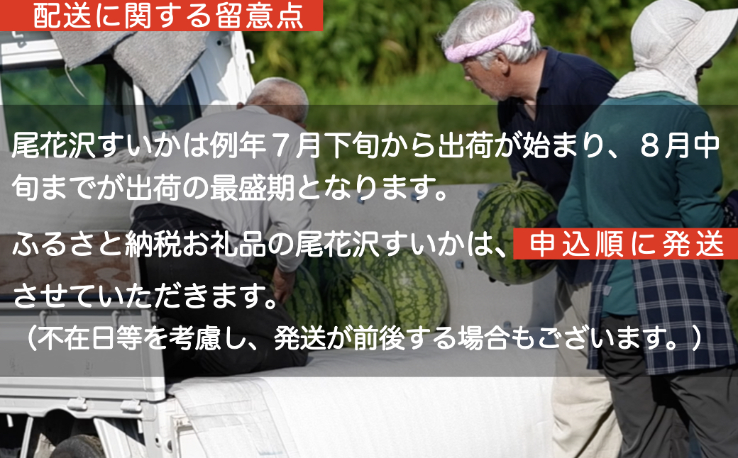 尾花沢産スイカ 4Lサイズ(約9～10㎏)×2玉 7月下旬～8月中旬頃発送 令和5年産 観光物産（kb-su4xx2）|JALふるさと納税 |JALのマイルがたまるふるさと納税サイト