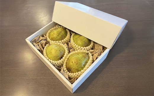 先行予約 ラ・フランス 秀品 約1kg (2~4個程度) 11月上旬~下旬頃発送  令和8年産 2026年産 sb-lasyx1-b