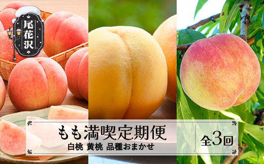 【先行予約】 フルーツ定期便 全3回 もも満喫定期便 白桃 黄桃 品種おまかせ 秀品 2026年8月上旬頃~発送開始 2026年産 令和8年産 佐竹物産 ※沖縄・離島への配送不可 sb-ftmox3-b