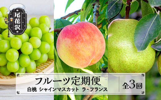 【先行予約】 フルーツ定期便 全3回 白桃 シャインマスカット ラ・フランス 秀品 2026年9月上旬頃~発送開始 2026年産 令和8年産 佐竹物産 ※沖縄・離島への配送不可 sb-fthsl3-b
