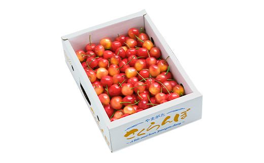 å
è¡äºçŽ ãããã㌠äœè€éŠ ç§Mãµã€ãº 600g 1ç®± ãã©è©°ã 2026å¹Žç£ ä»€å8å¹Žç£ å±±åœ¢çç£ ns-snsmb600