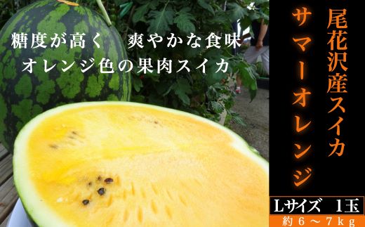 尾花沢産サマーオレンジスイカ　Lサイズ(約6～7㎏)×1玉　7月下旬～8月上旬頃発送　令和4年産　観光物産　KS11