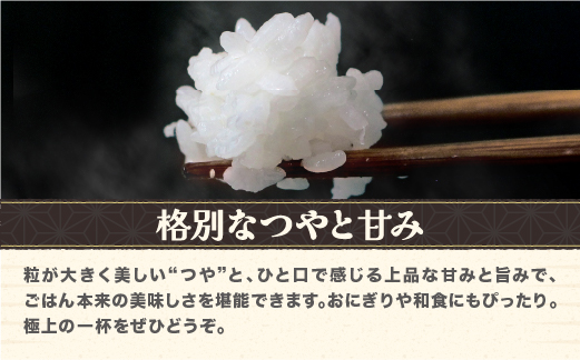 令和7年産 玄米 つや姫 10kg 配送時期選べる 3月下旬~8月下旬発送 2025年産 米 お米 国産 山形県 尾花沢市 ja-tsgta10