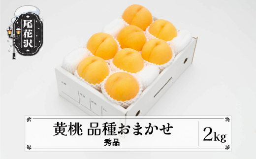 先行予約 もも 有袋黄桃 秀品 品種おまかせ 2kg  化粧箱入 フルーツ 果物 2026年産 令和8年産 山形県産 ns-mootx2-b