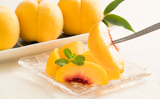 å
è¡äºçŽ ãã æè¢é»æ¡ ç§å åçš®ããŸãã 5kg åç²§ç®±å
¥ ãã«ãŒã æç© 2026å¹Žç£ ä»€å8å¹Žç£ å±±åœ¢çç£ ns-mootx5-b