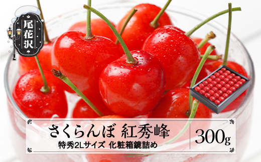 先行予約 さくらんぼ 紅秀峰 特秀2Lサイズ 300g 化粧箱鏡詰め 2025年産 令和7年産 山形県産 ns-bst2x300