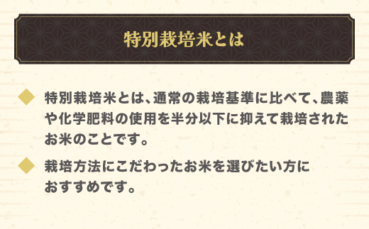 令和7年産 玄米 つや姫 10kg 配送時期選べる 3月下旬~8月下旬発送 2025年産 米 お米 国産 山形県 尾花沢市 ja-tsgta10