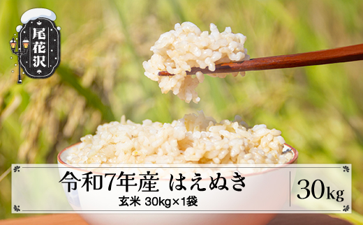 令和7年産 新米 玄米 はえぬき 30kg 11月上旬~順次発送 2025年産 米 お米 国産 山形県 尾花沢市 kd-hagxa30