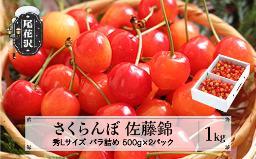 先行予約 さくらんぼ 佐藤錦 秀Lサイズ 1kg(500g×2パック)  バラ詰め 2025年産 令和7年産 プレゼント ギフト 山形県産 ns-snslb1