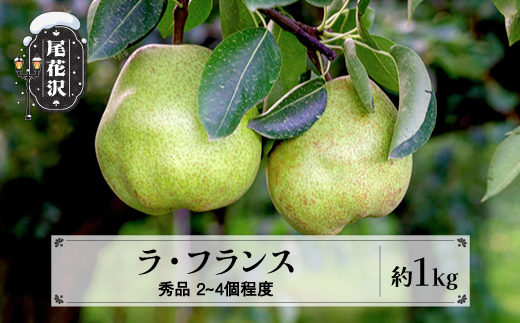 先行予約 ラ・フランス 秀品 約1kg (2~4個程度) 11月上旬~下旬頃発送  令和8年産 2026年産 sb-lasyx1-b