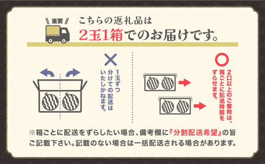 先行予約 尾花沢すいか 5Lサイズ 約10kg×2玉 7月下旬〜8月10日頃発送 2026年産 令和8年産 大玉 すいか スイカ 西瓜 果物 フルーツ 産地直送 山形県 尾花沢市 JA ja-su5xx2