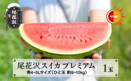 先行予約 尾花沢スイカ 4〜5Lサイズ(約9〜10kg)×1玉 プレミアム プレゼント ギフト 7月下旬〜8月中旬頃発送 令和7年産 2025年産 農産センター UNAU すいか 西瓜 ※沖縄・離島への配送不可 ns-su45u1