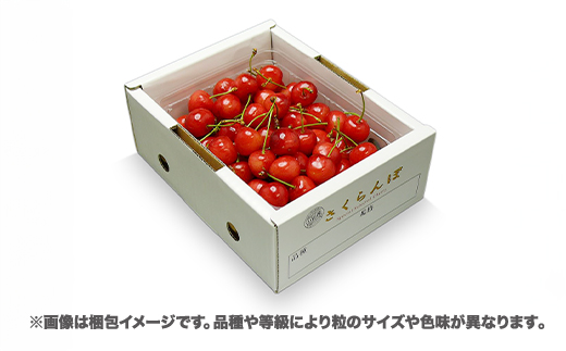 先行予約 さくらんぼ 佐藤錦 500g 2L・L混合サイズ 秀品 山形県産 バラ詰 令和8年産 2026年産 sb-snbsx500