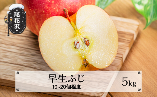 先行予約 りんご 早生ふじりんご 5kg (10〜20個程度) 秀品 9月下旬~10月下旬頃発送令和8年産 2026年産 山形県産  フルーツ 果物 佐竹物産 sb-riwfx5-b
