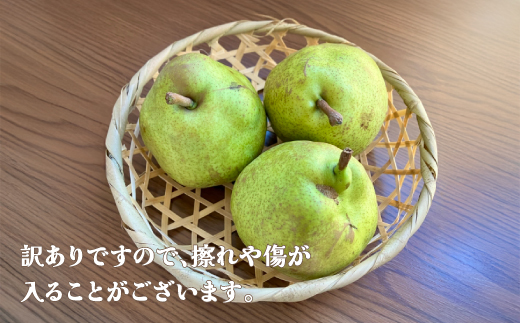先行予約 訳あり ラ・フランス 約5kg (10~20個程度) 無印品 11月上旬~下旬頃発送 山形県産 フルーツ 果物 くだもの 令和8年産 2026年産 佐竹物産 sb-laxxw5-b
