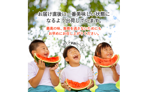 尾花沢産スイカ 3Lサイズ(約8㎏)×2玉 7月下旬～8月中旬頃発送 令和6年産 観光物産 kb-su3xx2