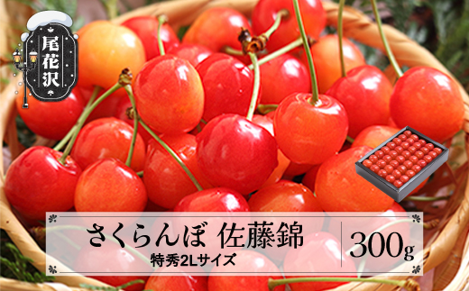 先行予約 さくらんぼ 佐藤錦 特秀2Lサイズ 300g 贈答用 化粧箱入 2026年産  令和8年産プレゼント ギフト 山形県産 ns-snt2x300