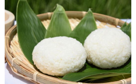 先行予約 精米 10kg 5kg×2 令和8年産 新米 棚田米 雪きらり 尾花沢市中刈産 ng-yksxx10