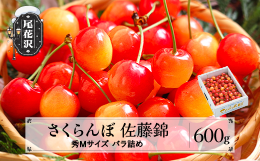 先行予約 さくらんぼ 佐藤錦 秀Mサイズ 600g 1箱 バラ詰め 2026年産  令和8年産 山形県産 ns-snsmb600