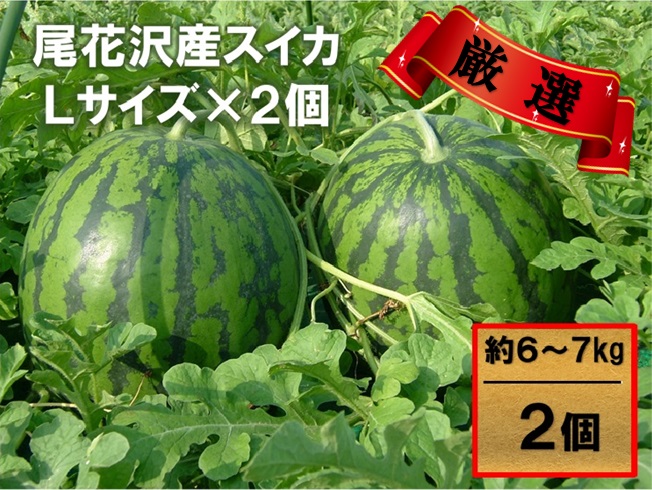 尾花沢産スイカ Lサイズ(約6～7㎏)×2玉 7月下旬～8月中旬頃発送 令和4年産 観光物産 K12|JALふるさと納税|JALのマイルがたまる ふるさと納税サイト